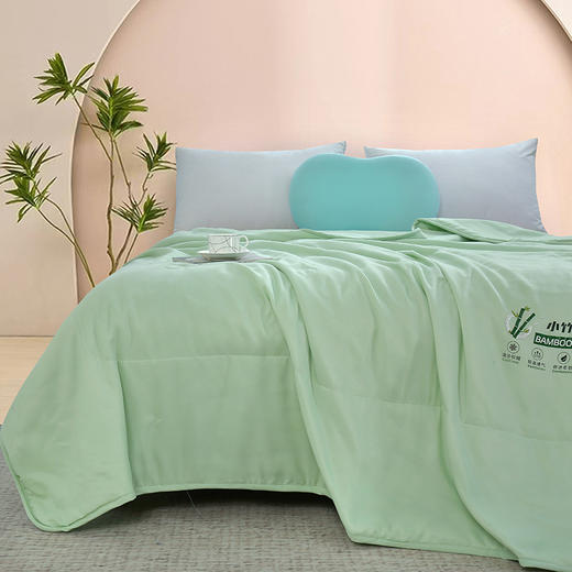 【紫韵家纺】紫韵 小竹棉清香抗菌被 ZY-BM1670 200*230cm 商品图1