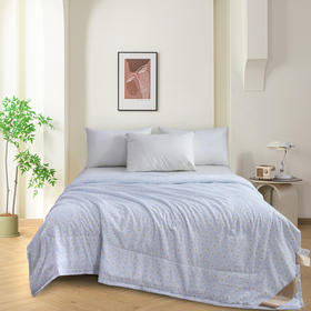 【紫韵家纺】紫韵 印象花语负离子被 ZY-BM1675 200*230cm