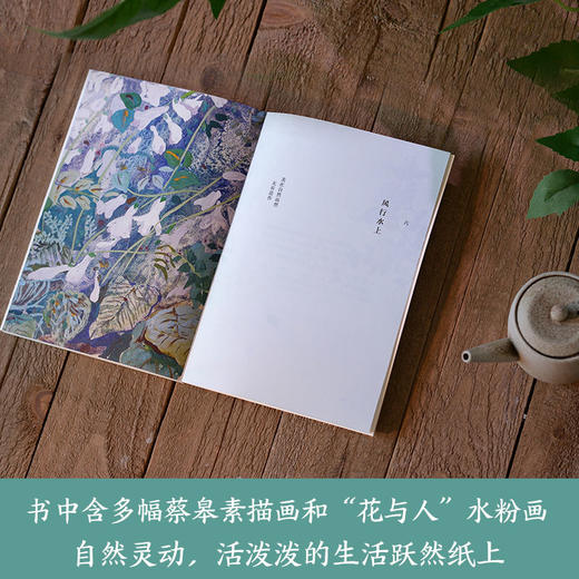 一蔸雨水一蔸禾+蔡皋经典中国绘本·桃花源的故事 商品图4