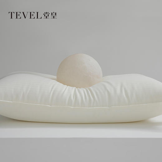 7楼堂皇家纺  馨雅枕 规格48*74  1只 商品图0