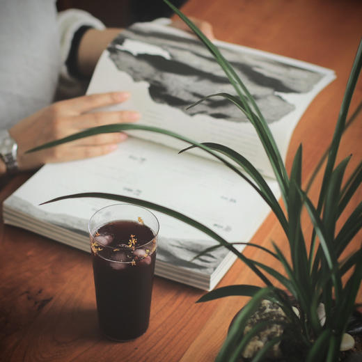 优选丨干了这一碗老北京酸梅汤 商品图3