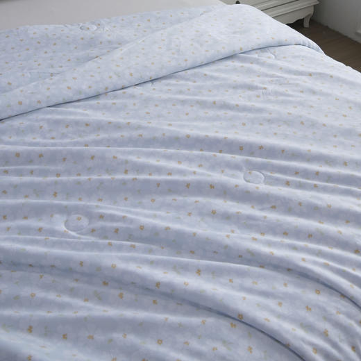 【紫韵家纺】紫韵 印象花语负离子被 ZY-BM1675 200*230cm 商品图2