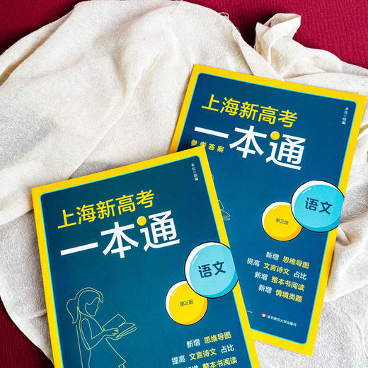 上海新高考一本通 语文 第三版 高考一轮复习 上海高考语文考点 商品图4