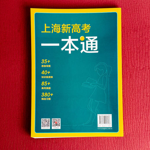 上海新高考一本通 语文 第三版 高考一轮复习 上海高考语文考点 商品图2