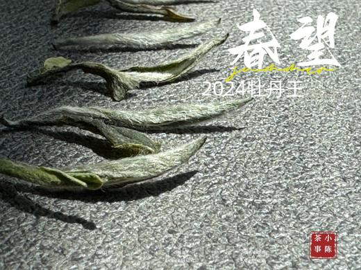 【2024春茶来了】2024牡丹王，白毫奇多，做好仅几天茶汤就生成3个月才有的糯感 商品图4