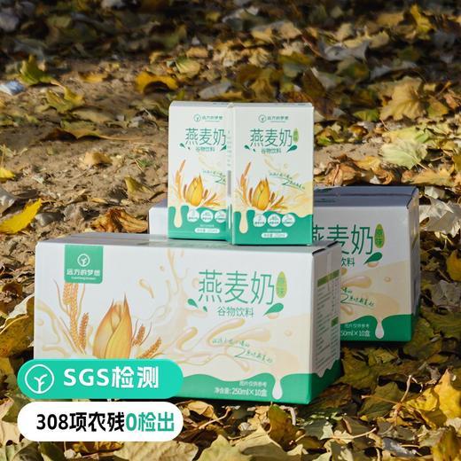【检测SGS308项农残 远方定制 原味燕麦奶】营养丰富 易消化 释放真麦香 配料简单家庭装250g*10盒/提 商品图0