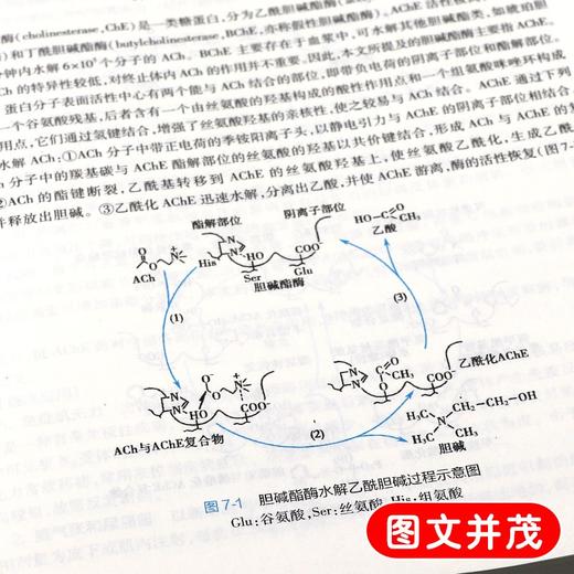 全2册 药理学第9版+药理学学习指导与习题集第4版 本科临床西医教材 基础临床预防口腔十三五规划 人民卫生出版社 商品图4