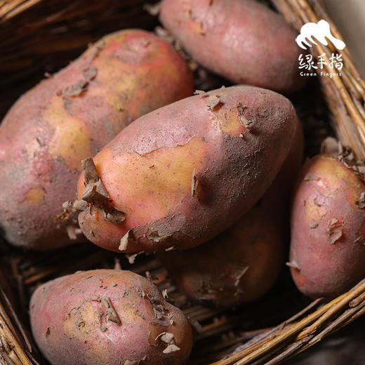 生态大理土豆（中通）| 合作生产 * Eco-potato | Coproduction 商品图4
