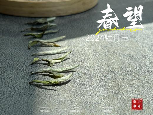 【2024春茶来了】2024牡丹王，白毫奇多，做好仅几天茶汤就生成3个月才有的糯感 商品图3