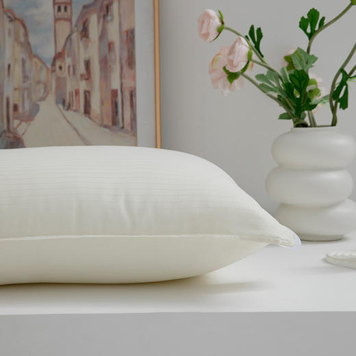 7楼堂皇家纺  馨雅枕 规格48*74  1只 商品图2