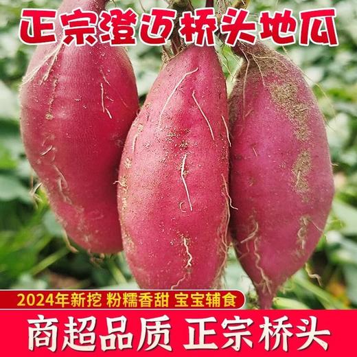 海南澄迈桥头地瓜6斤/3000g 商品图6