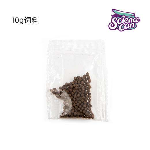 科学罐头乌龟蛋 【2颗蛋+1包龟粮】 商品图2