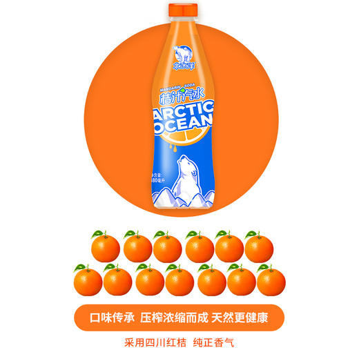 北冰洋 PET桔汁汽水480ml * 15 商品图4