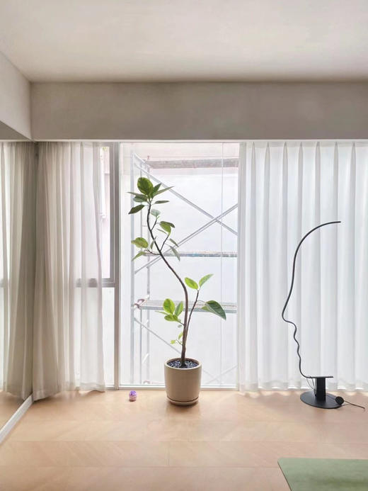 家简法空间开业专属花礼 商品图9