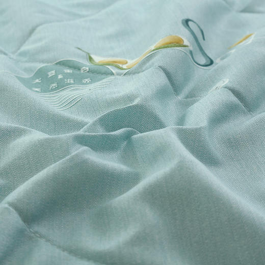 【紫韵家纺】紫韵 大豆蛋白生态被 ZY-BM1665 200*230cm 商品图4