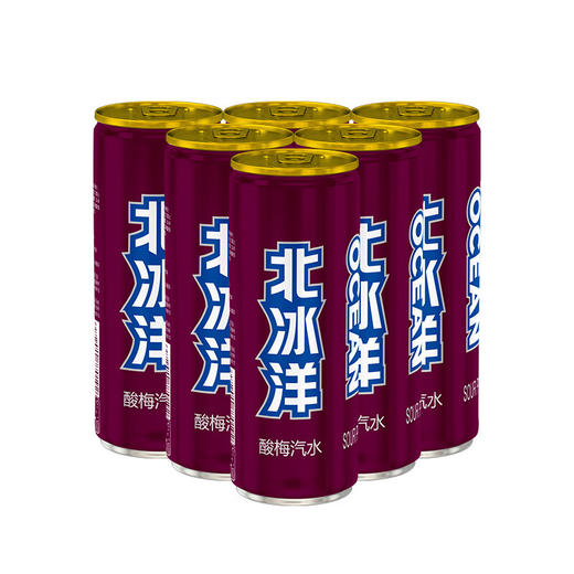 北冰洋 听装酸梅汽水330ml * 24 商品图5