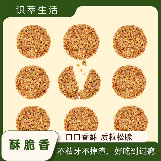 识萃麻荞蛋白脆 160g/盒 轻食饼干 即开即食 独立包装 松脆酥香 不糊嘴不粘牙不掉渣  非油炸生产 不加蔗糖 商品图3