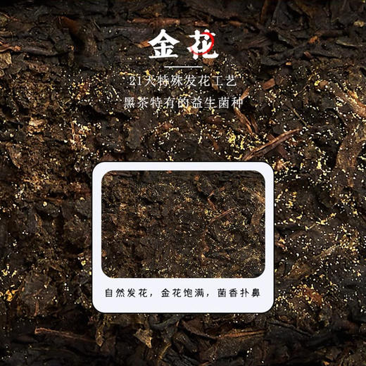 国津丨1979手筑茯砖 特制茯砖 安化黑茶 2015年原料 1000g 大份量，口粮茶 商品图4
