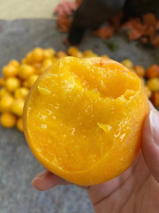香蜜黄菊桃🍑 （4.5-5斤9-12枚）顺丰 商品图1
