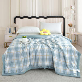【紫韵家纺】紫韵 格调亲肤水洗被 ZY-BM1672 200*230cm