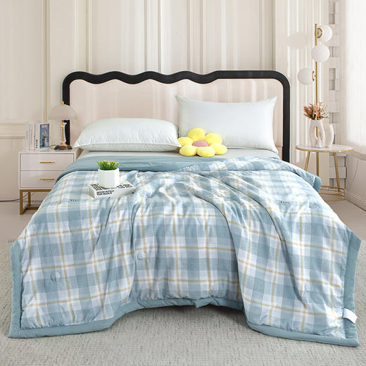 【紫韵家纺】紫韵 格调亲肤水洗被 ZY-BM1672 200*230cm 商品图0