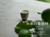 【2024春茶来了】2024头采白毫银针，鲜、嫩、爽、滑，怎一个“嫩”字了得？ 商品缩略图12