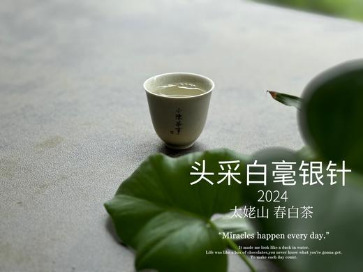 【2024春茶来了】2024头采白毫银针，鲜、嫩、爽、滑，怎一个“嫩”字了得？ 商品图12