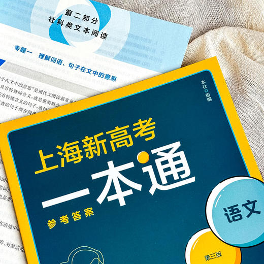 上海新高考一本通 语文 第三版 高考一轮复习 上海高考语文考点 商品图7