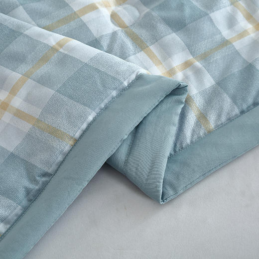 【紫韵家纺】紫韵 格调亲肤水洗被 ZY-BM1672 200*230cm 商品图5