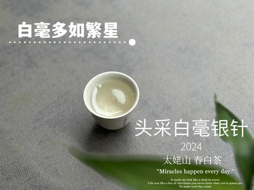 【2024春茶来了】2024头采白毫银针，鲜、嫩、爽、滑，怎一个“嫩”字了得？ 商品图14