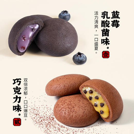 莎布蕾 软心曲奇 巧克力/蓝莓乳酸菌 230g 商品图1