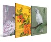万小宁《创作笔记-重彩花鸟画材料技法》植物篇/金属箔篇/动物篇可单选 全套3本购买更优惠 岭南美术出版社[现货包邮] 商品缩略图9
