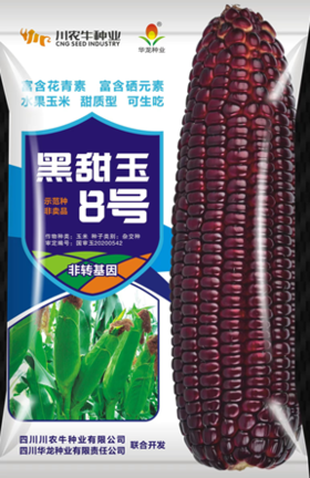 川农牛·黑甜玉种子 水果玉米 甜质型 富含花青素、硒元素 可生吃