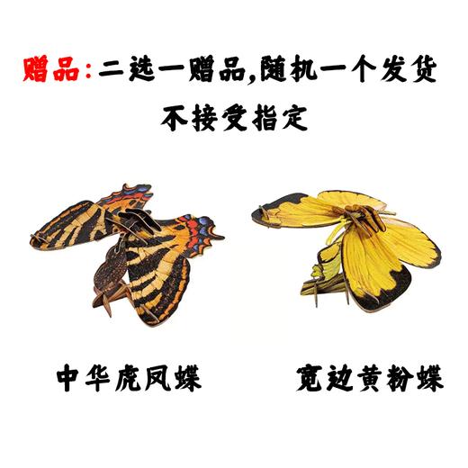 【代发】梦巴格仿真手工拼插纸模型 赠品不接受指定随机发货 商品图1