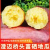 海南澄迈桥头地瓜6斤/3000g 商品缩略图5