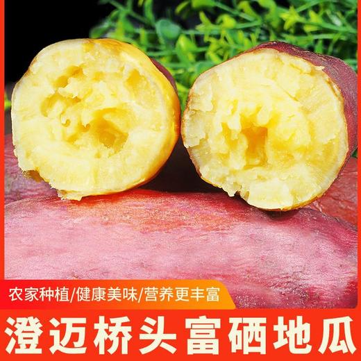 海南澄迈桥头地瓜6斤/3000g 商品图5