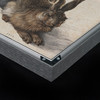 阿尔布雷希特·丢勒《野兔》（带框装裱画） 商品缩略图11