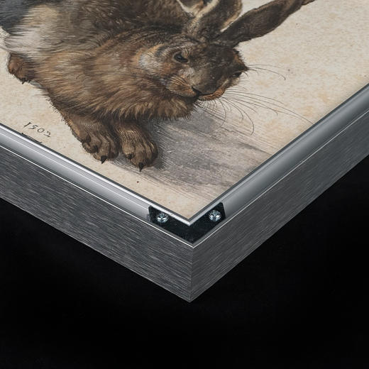 阿尔布雷希特·丢勒《野兔》（带框装裱画） 商品图11