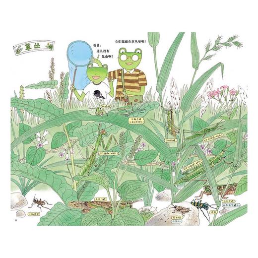 和雨蛙爸爸一起去采集昆虫 商品图2