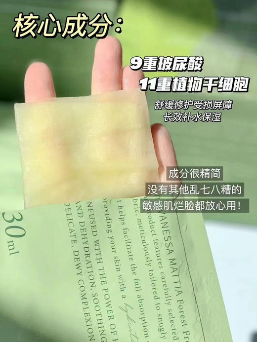VM森林面膜 一盒30片 商品图1