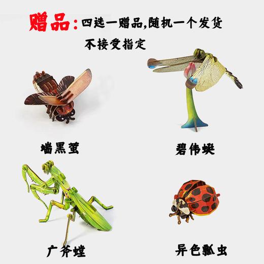 【代发】梦巴格仿真手工拼插纸模型 赠品不接受指定随机发货 商品图2