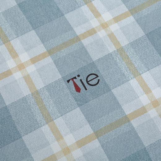 【紫韵家纺】紫韵 格调亲肤水洗被 ZY-BM1672 200*230cm 商品图3