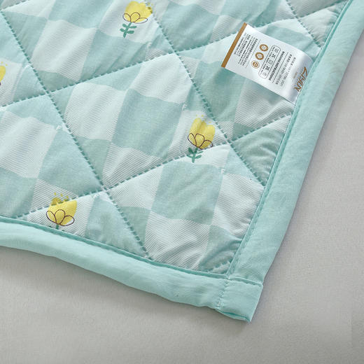 【紫韵家纺】紫韵 馨香元气被 ZY-BM1662 200*230cm 商品图3