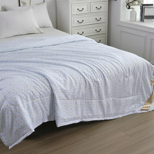 【紫韵家纺】紫韵 印象花语负离子被 ZY-BM1675 200*230cm 商品图1