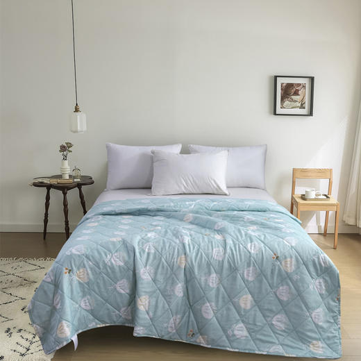 【紫韵家纺】紫韵 春田花语防螨被 ZY-BM1671 150*200cm 商品图0