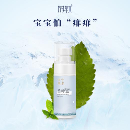 清透净爽  桑叶露 50ml/瓶 商品图0