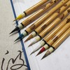 最全小楷笔，八毫八色小楷毛笔，弹性好硬度高练字、瘦金体、勾线。 商品缩略图5