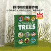 【盖世童书-心智麦田】谢谢你，树木Be Thankful for TREES（1本） 商品缩略图0