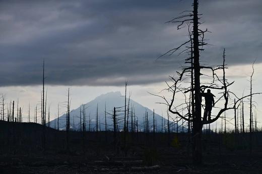 野性堪察加 商品图4