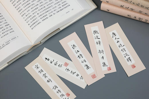 《沈祖棻全集 》 【函套钤印本，限量赠送独家书签】【《书札拾零 子苾日记》毛边本送独家 明信片《早早诗》】 商品图6